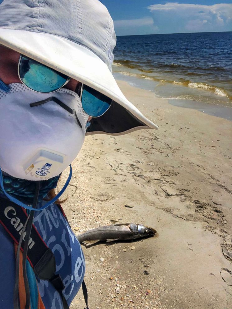 PHOTO: Naples resident Colleen Gill wears a protective mask during a walk on the beach. The red tide outbreak in Florida can release harmful toxins.