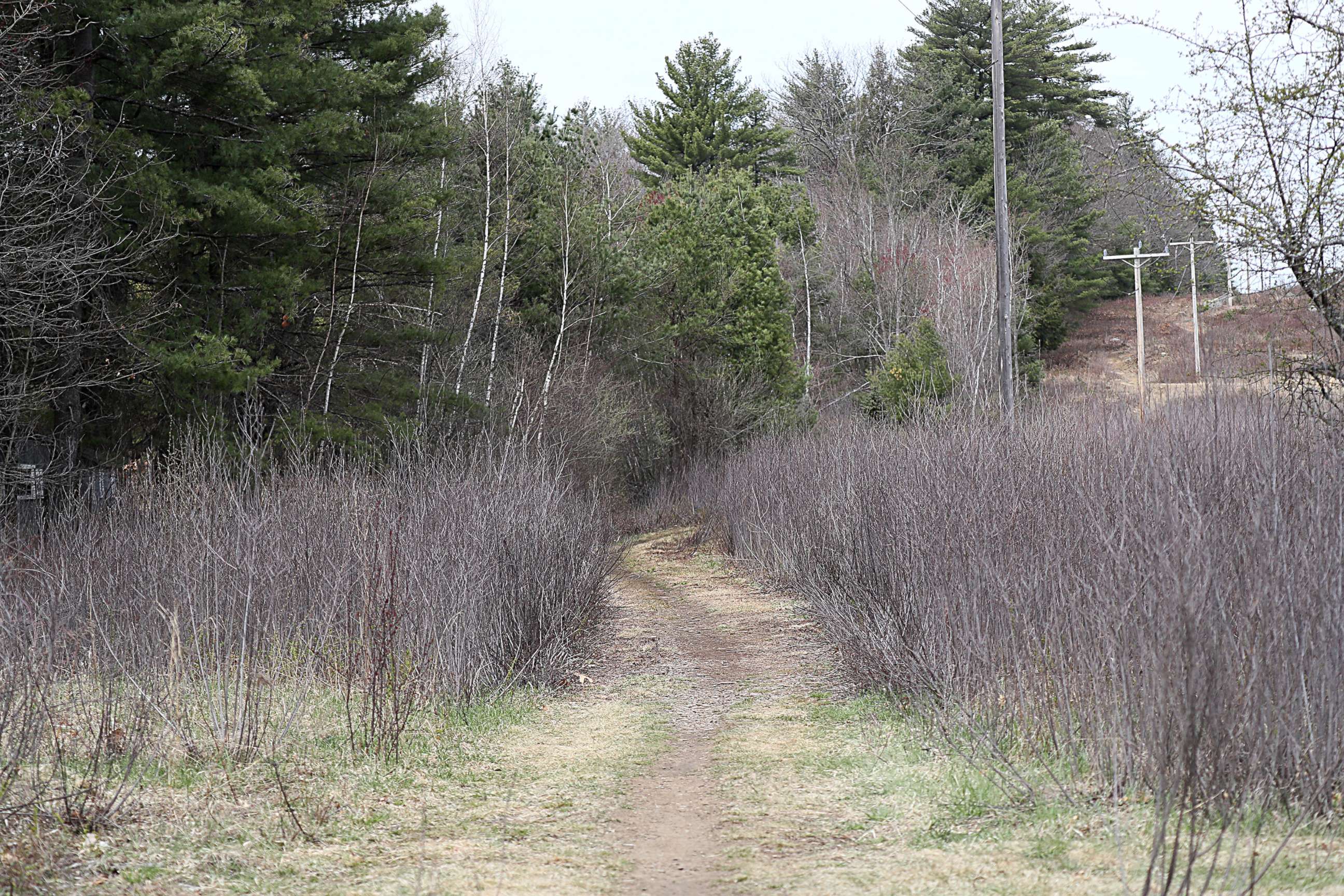 PHOTO: The beginning of the Marsh Loop Trail in Concord, N.H., on April 25, 2022.