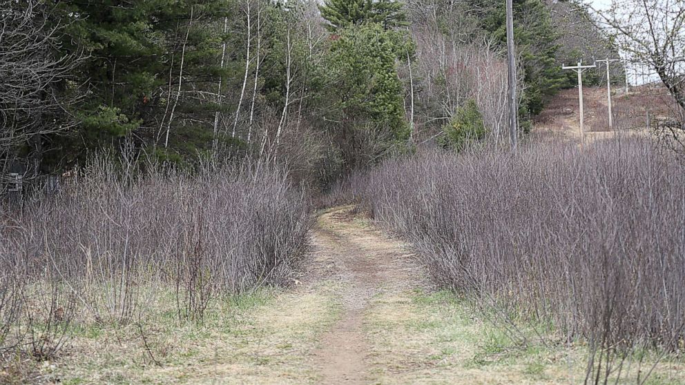 PHOTO: The beginning of the Marsh Loop Trail in Concord, N.H., on April 25, 2022.