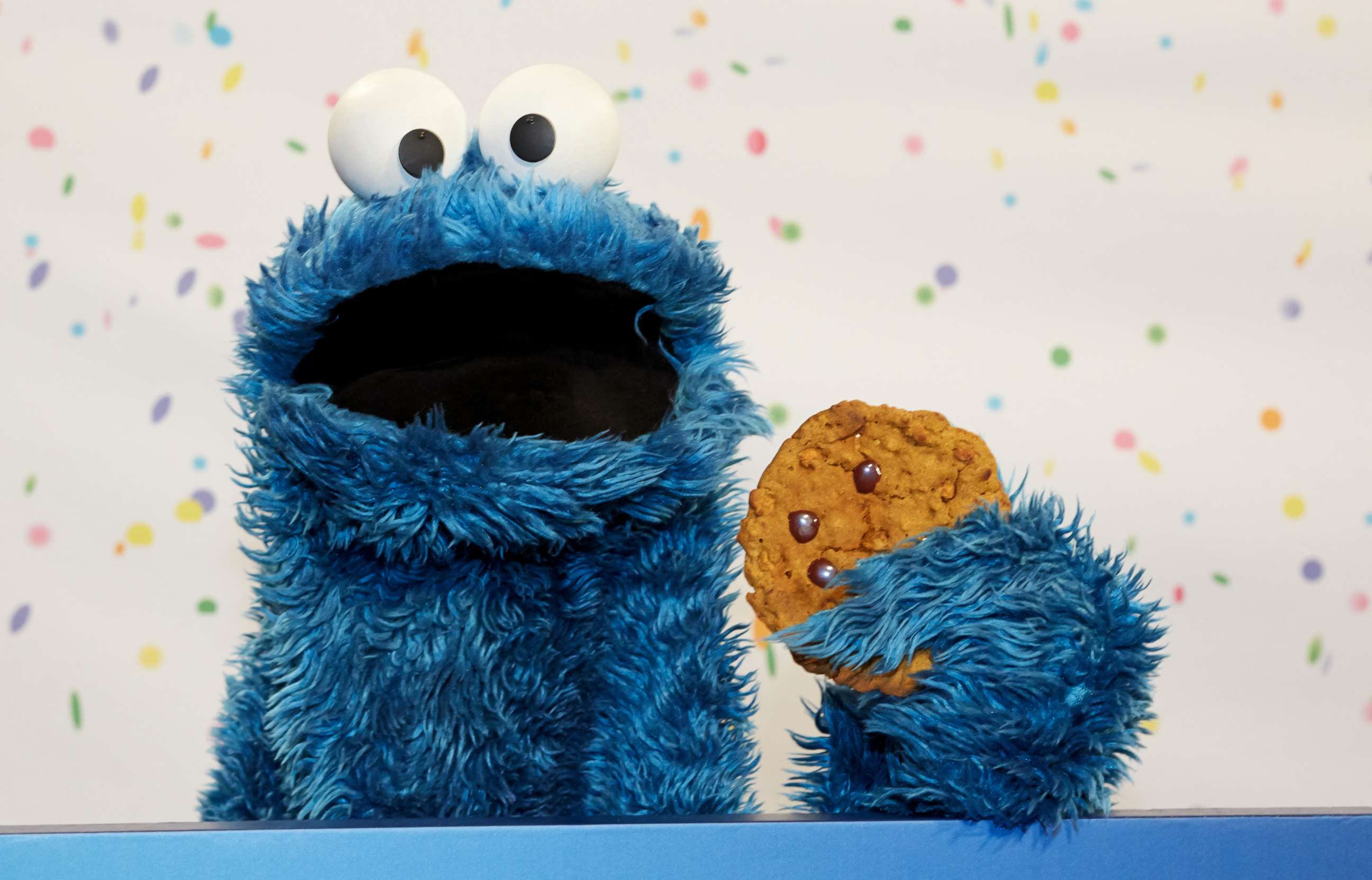 PHOTO: Cookie Monster is seen in Hamburg, Germany, July 1, 2013.