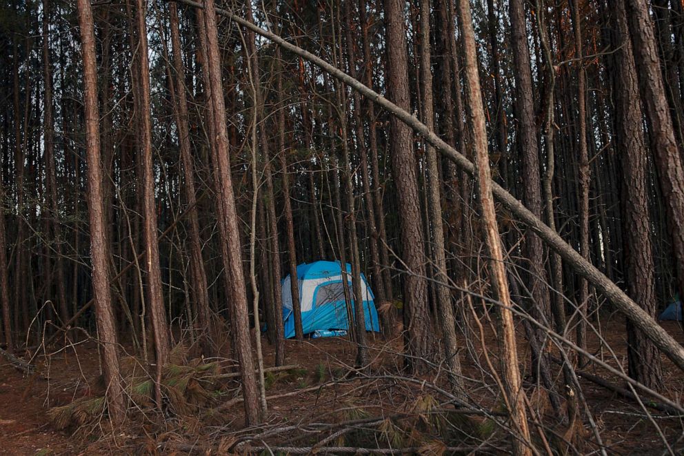 PHOTO: FILE - Environmental activists reoccupy the Atlanta Forest, a preserved forest Atlanta that is scheduled to be developed as a police training center, March 4, 2023 in Atlanta.