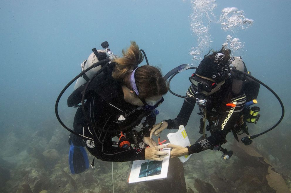 PHOTO: Karen Neely (L), a coral ecologist at Nova Southeastern on a dive to collect samples of corals afflicted by Stony Tissue Loss Disease (SCTLD) near Key West, Fla., Sept. 9, 2019.
