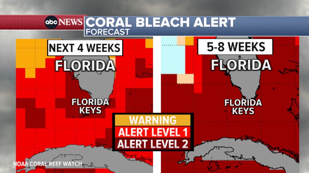 PHOTO: This map shows a coral bleach alert occurring in Florida's coral reef.