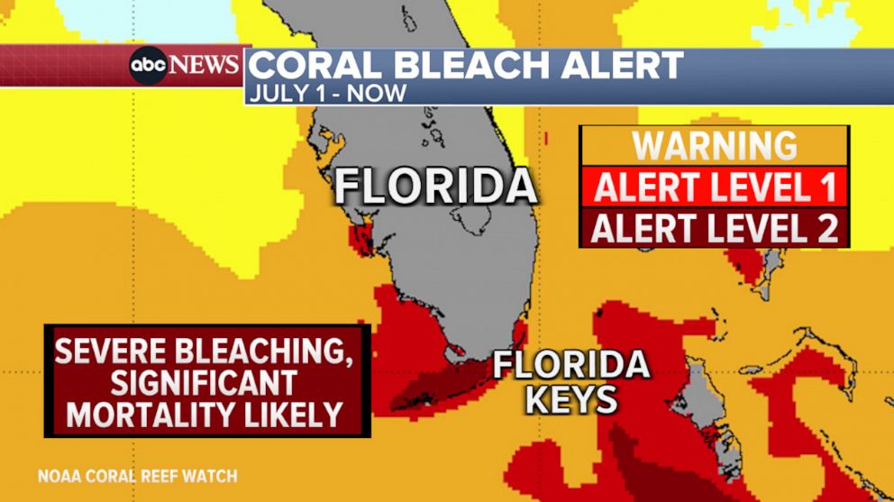 PHOTO: This map shows a coral bleach alert occurring in Florida's coral reef.