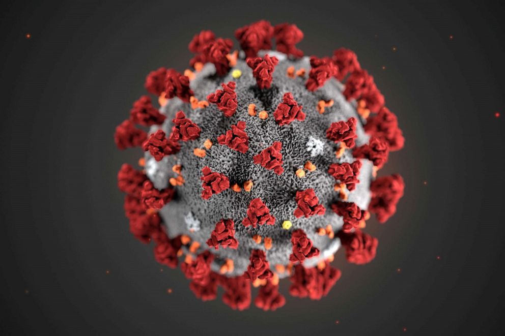 Illustration released by the Centers for Disease Control and Prevention (CDC) in Atlanta, Georgia on Jan. 29, 2020 shows the 2019 Novel Coronavirus (2019-nCoV), identified as the cause of an outbreak of respiratory illness first detected in Wuhan, China. 