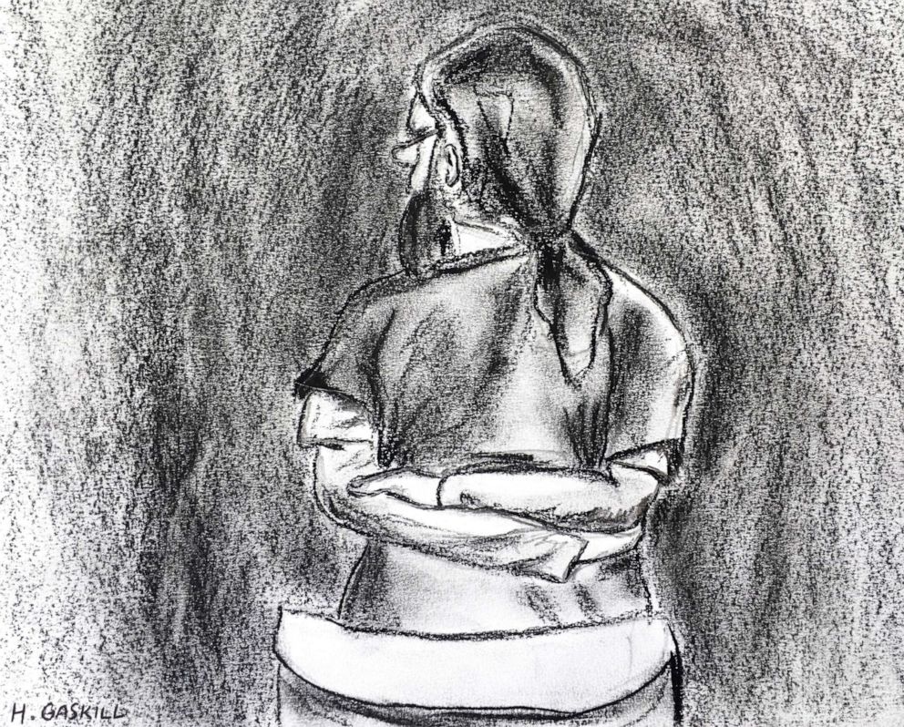 PHOTO: In this artist court sketch, Jarrod Ramos stands and pleads guilty in Anne Arundel Circuit Court on Oct. 28, 2019, in Annapolis, Maryland, in the slayings of five staffers at the Capital Gazette newspaper.