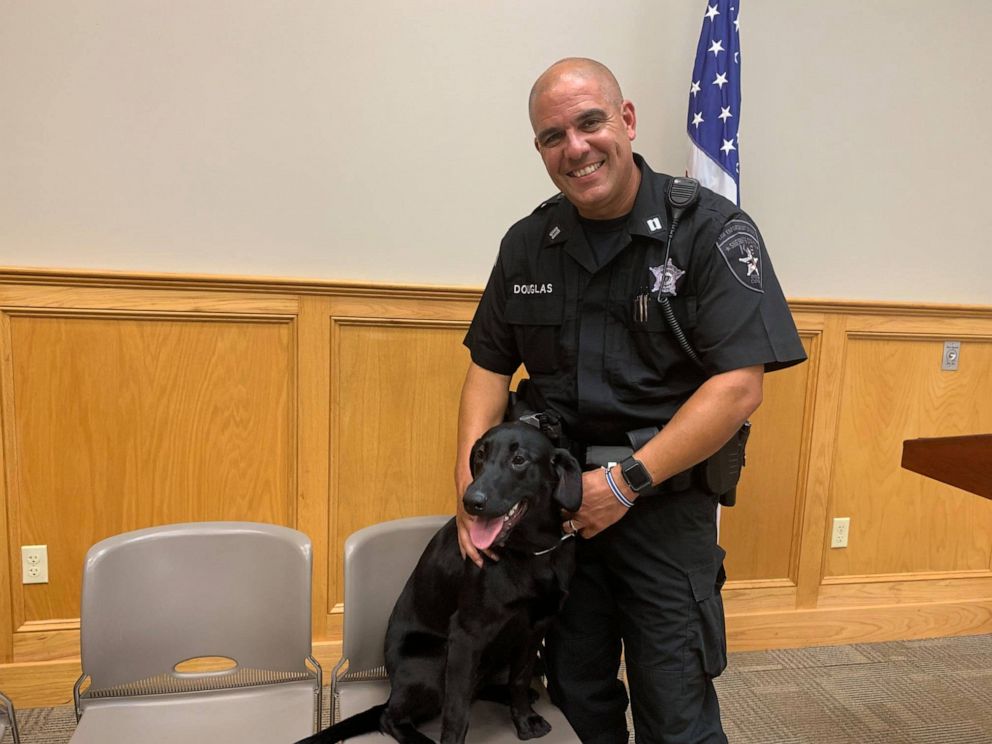 PHOTO: Bristol, Mass., County Sheriff's Office will be the first law enforcement agency in the U.S. to use COVID-sniffing dogs.