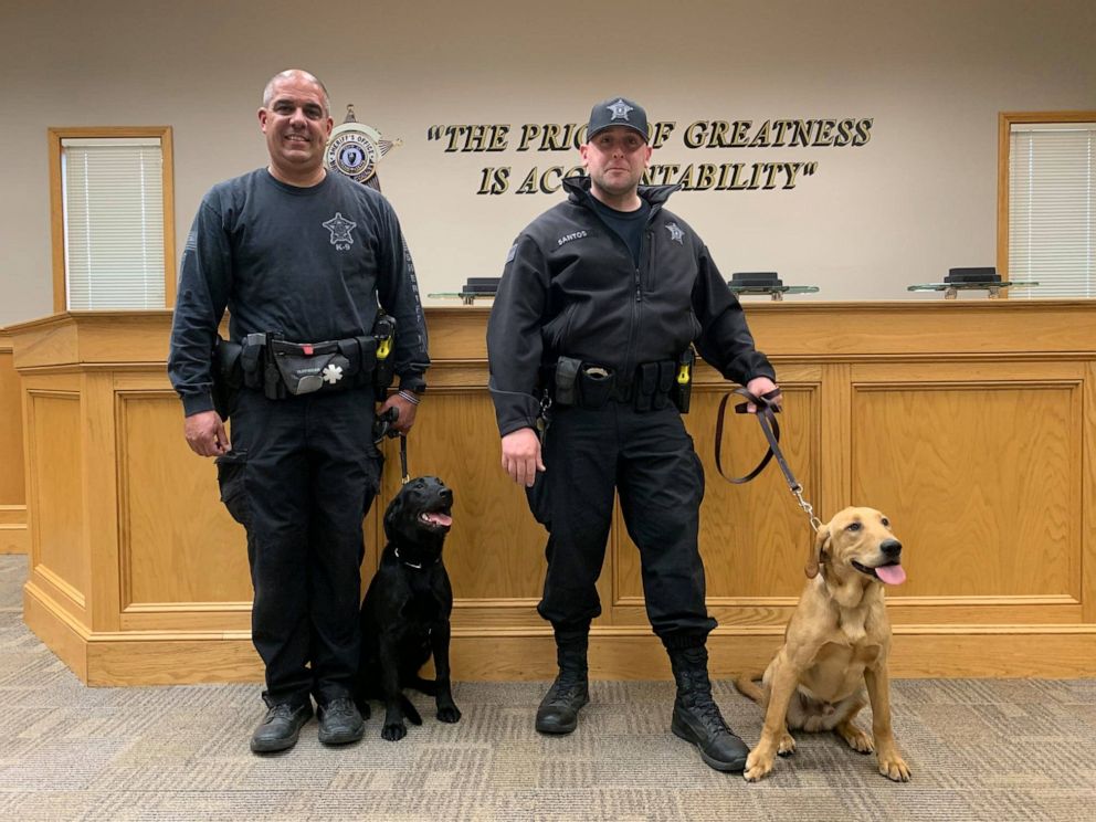 PHOTO: Bristol, Mass., County Sheriff's Office will be the first law enforcement agency in the U.S. to use COVID-sniffing dogs.
