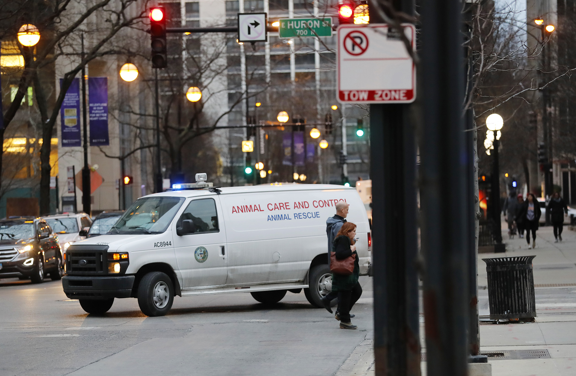 An animal control van turns from East Huron Street in the Gold Coast area of Chicago, where police and animal control were searching for a coyote who may have bitten a child in the the Lincoln Park area and a man outside Northwestern Memorial Hospital.