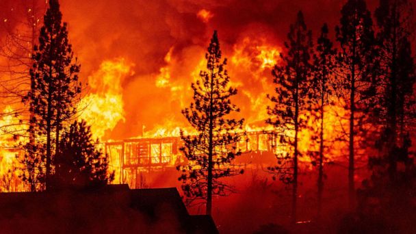 Why State Farm won't be accepting applications for homeowners insurance in California - Vimarsana News