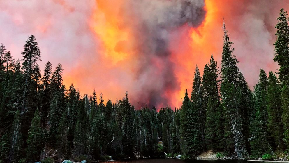Authorities rescue dozens trapped by fast-moving wildfire in national ...