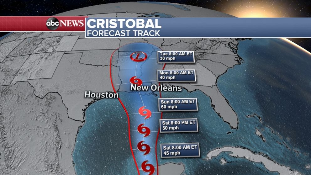 PHOTO: Tropical Storm Cristobal's track takes it into the Gulf Coast on Monday.