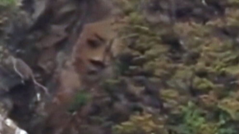 Canadian park officials are trying to determine the origin of a giant face that appears to be carved into a cliff side in Reeks Island, British Columbia.