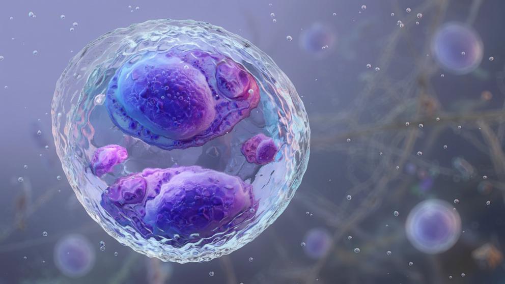PHOTO: Microscopic view of the Cyclospora cayetanensis oocyst, foodborne parasite taken during laboratory research.