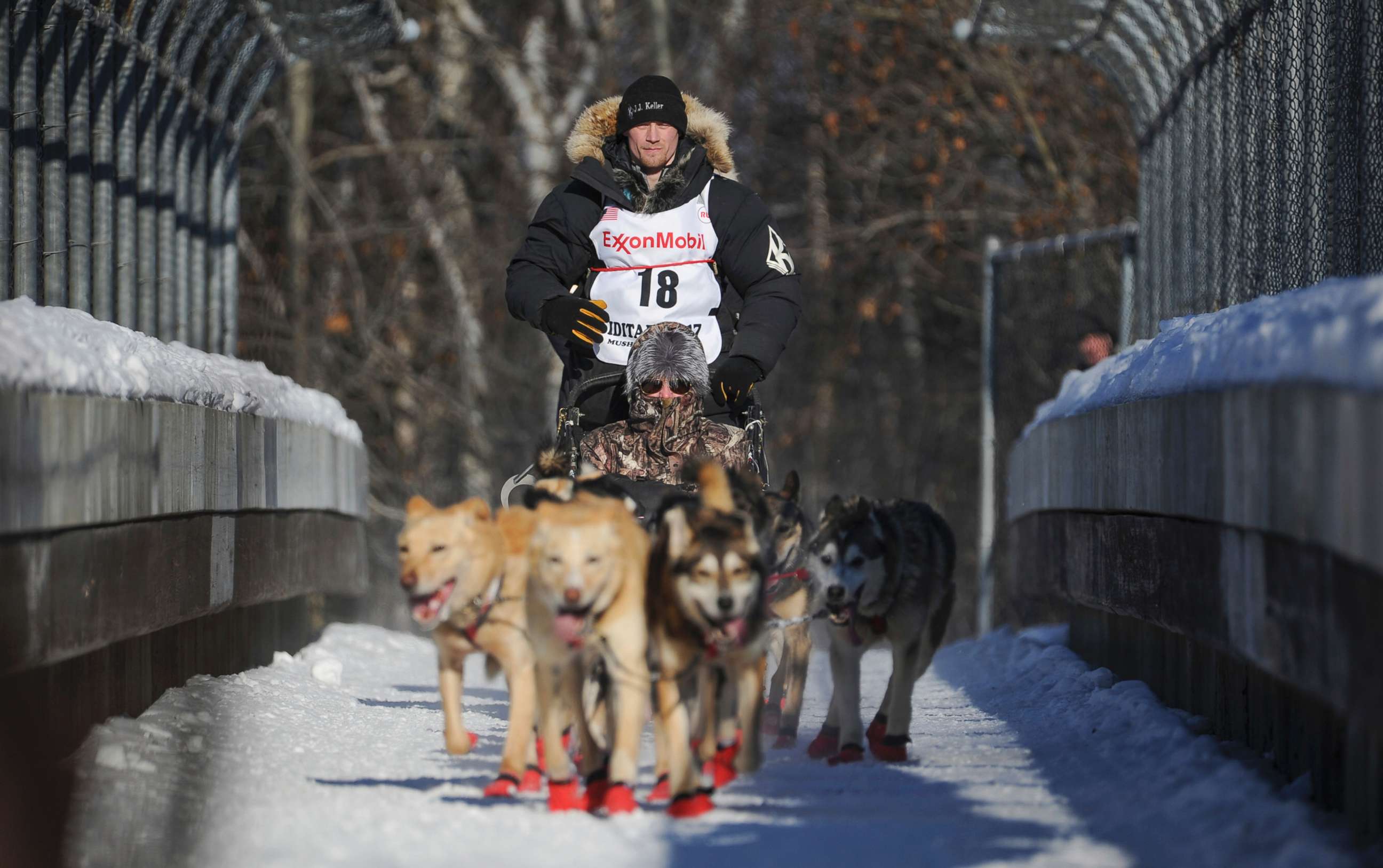 PHOTO: Dallas Seavey mushes during the ceremonial start of the Iditarod Trail Sled Dog Race in Anchorage, Alaska in this March 4, 2017 file photo.