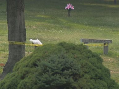Man fatally shot at cemetery during burial of 10-year-old gun violence victim