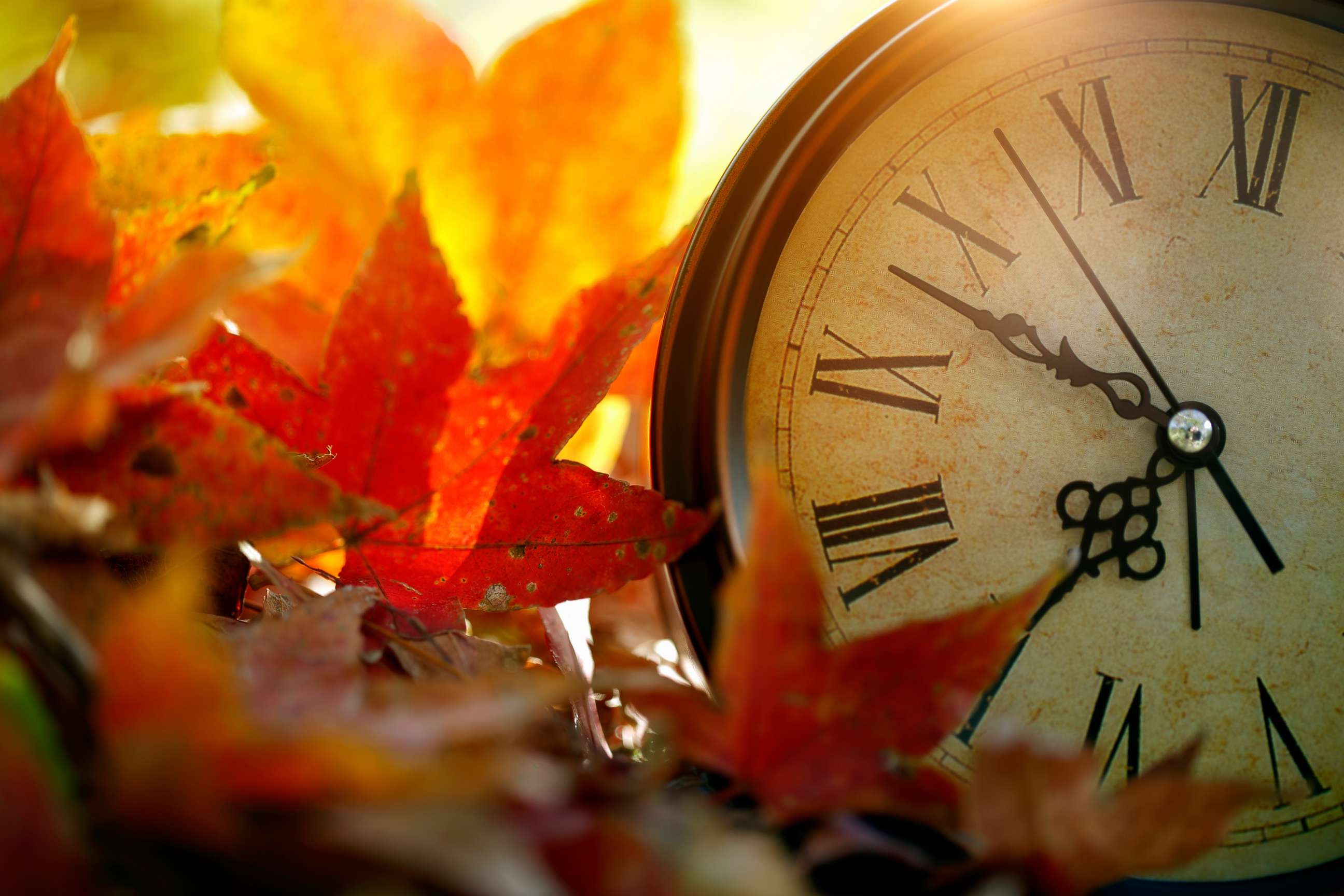 PHOTO: Stock photo of leaves and a clock.