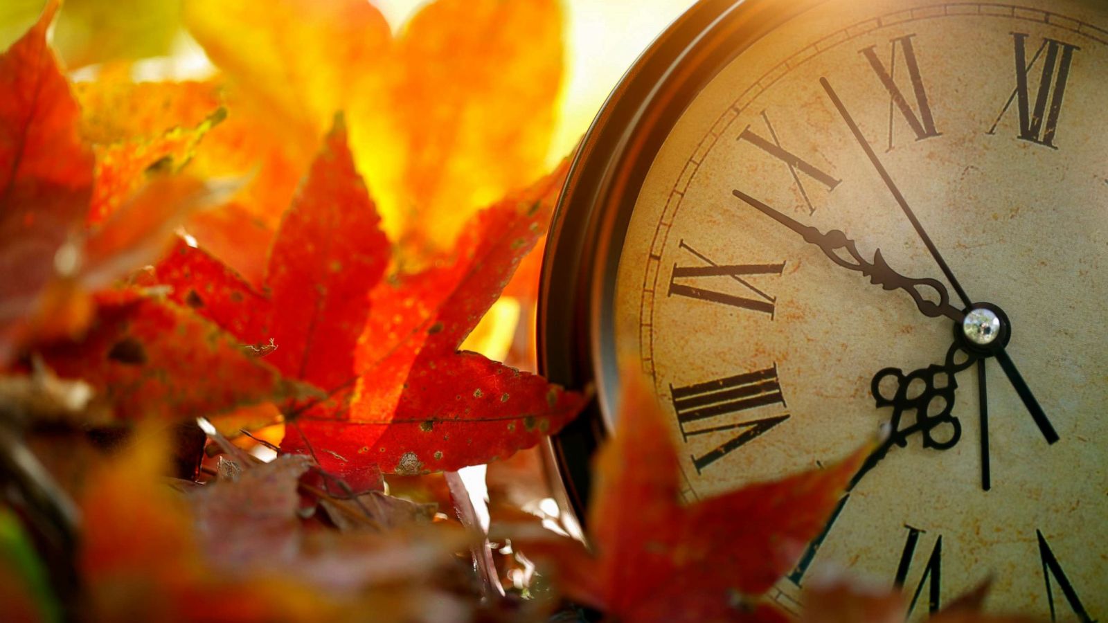 End of US daylight savings time 2023: When do the clocks 'fall