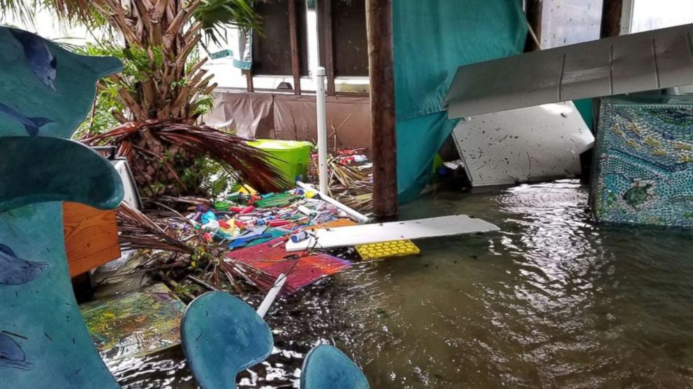 PHOTO: Phillip Admire, director of zoology at Island Dolphin Care in Key Largo, Florida, braved Hurricane Irma to care for the 8 dolphins that are housed at his non-profit facility. 