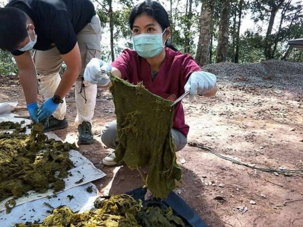 PHOTO: Thai forest rangers show plastics found in a dead deer at Khun Sathan National Park in the north province of Phrae, Thailand, Nov. 25, 2019.