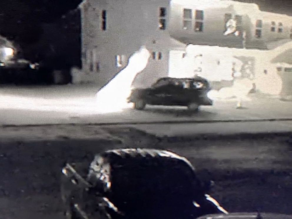 PHOTO: Police in Greenwood, Indiana, are searching for a driver seen plowing through Christmas decorations in the front yard of a home.