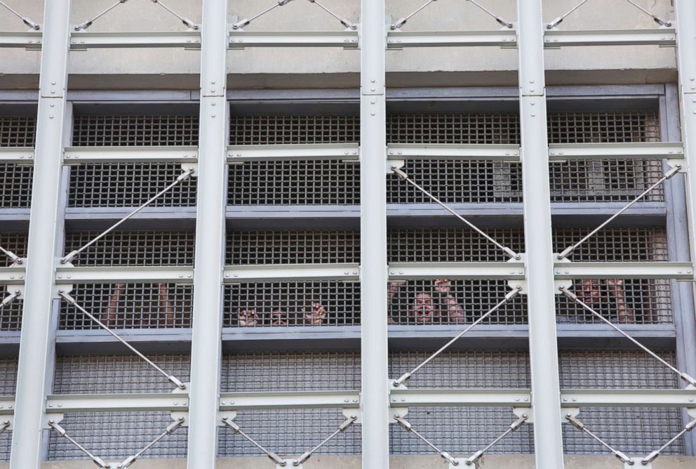 PHOTO: Inmates bang on windows inside the Metropolitan Detention Center as a protest develops outside in Brooklyn, New York, Feb. 3, 2019.