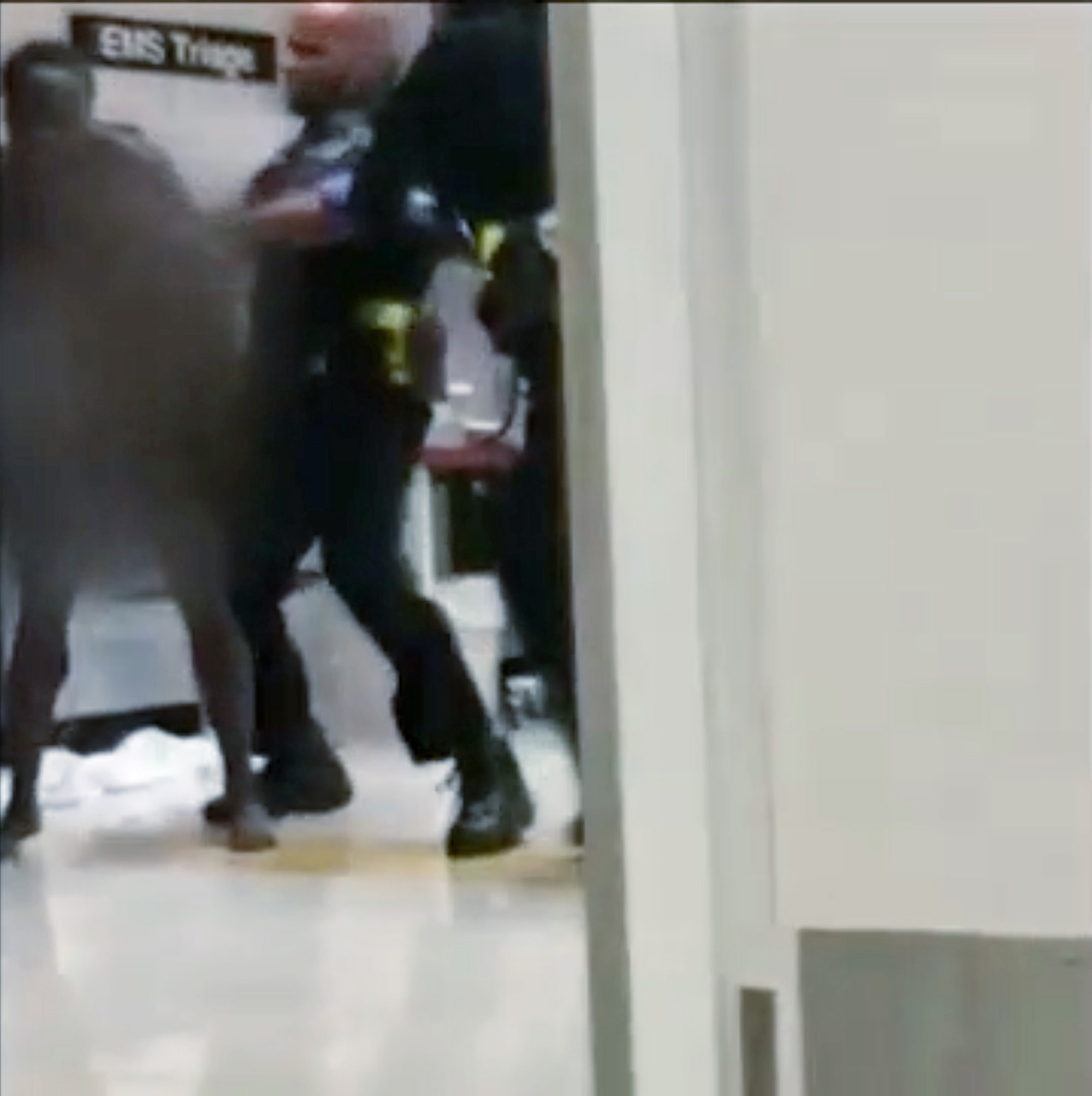 PHOTO: An image made from cell-phone video appears to show a Detroit police officer punching a naked and apparently emotionally disturbed woman at Detroit Receiving Hospital, Aug. 1, 2018. 