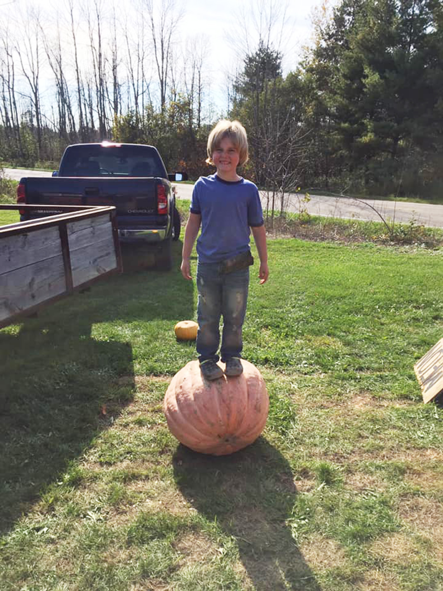 PHOTO: 6-year-old Ian Christensen who suffers from type 1 diabetes is selling pumpkins outside his home in Sand Lake, Mich., in hopes of raising enough money to buy an alert dog that can help him with his disease.