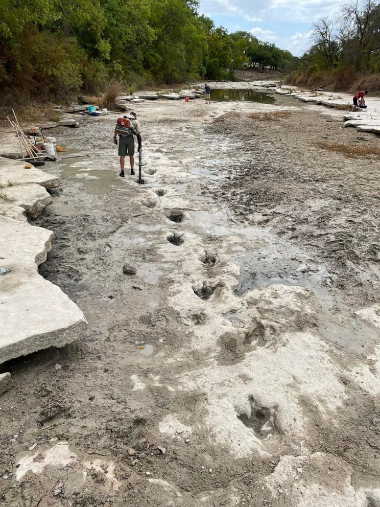 Dinosaur tracks from 113M years ago have become visible amid drought Dinosaur-foot-prints-04-gty-jef-220823_1661281003949_hpEmbed_3x4_992
