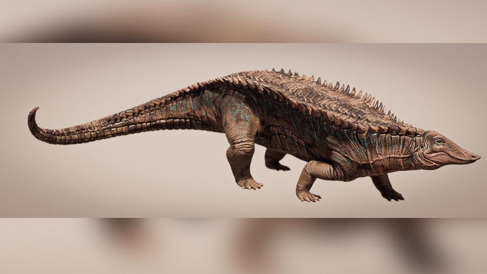 A 215-million-year-old crocodile ancestor has been identified that predates dinosaurs
