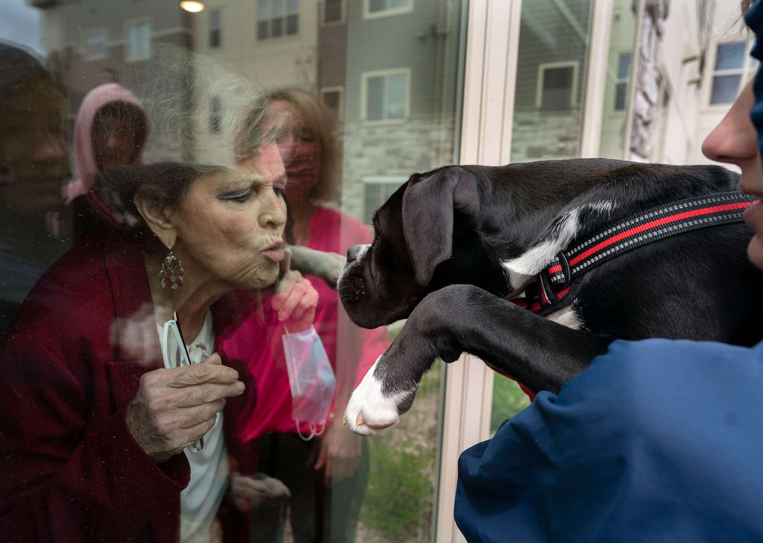 PHOTO:Peggy Knapp a resident at Havenwood Senior home gives her daughter's dog Lloyd a kiss through the window during a Mother's Day visit, May 10, 2020, in Minnetonka, Minn.