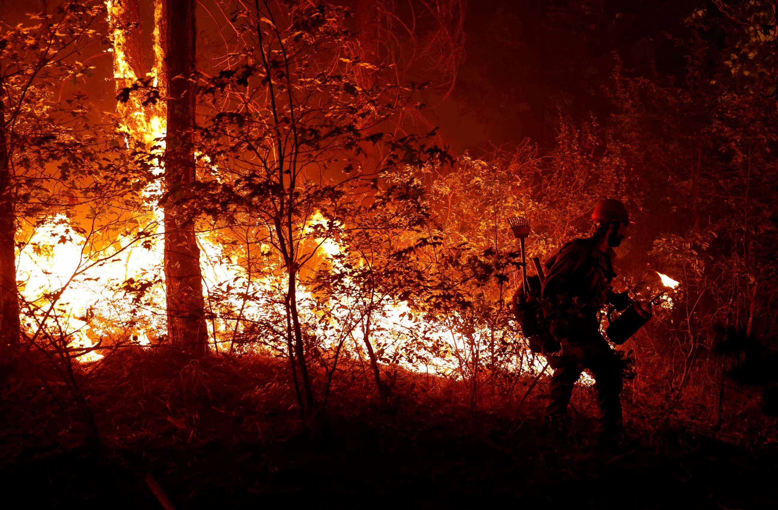 PHOTO: U.S. Forest Service firefighter Ben Foley lights backfires to slow the spread of the Dixie Fire, a wildfire near the town of Greenville, Calif. Aug. 6, 2021.