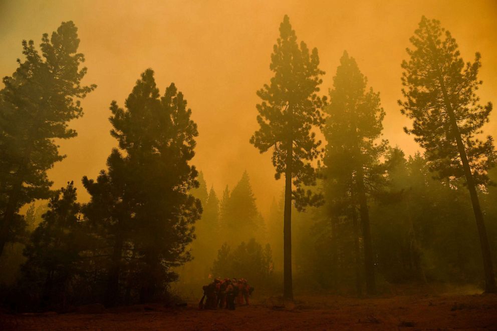 PHOTO: An inmate firefighter crew from the Antelope Conservation Camp wait for their next assignment as they work to contain the Dixie Fire among burning trees on Aug. 18, 2021, in the Plumas National Forest near Janesville, Calif.
