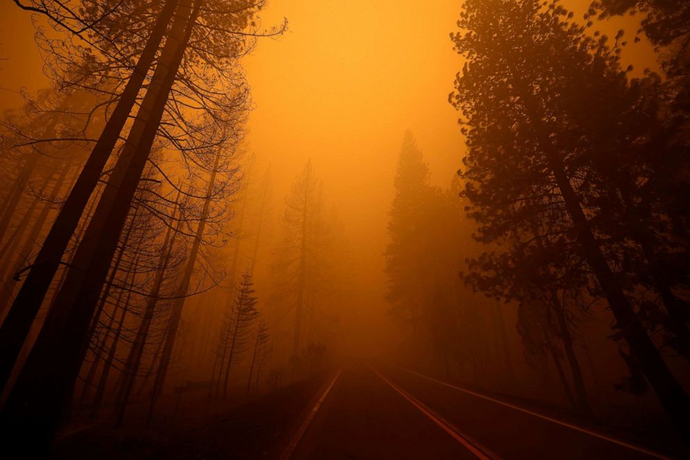 PHOTO: A view shows Highway 89 with burned trees on one side and unburned trees on the other at the site of the Dixie Fire, a wildfire near the town of Greenville, California, Aug. 7, 2021.