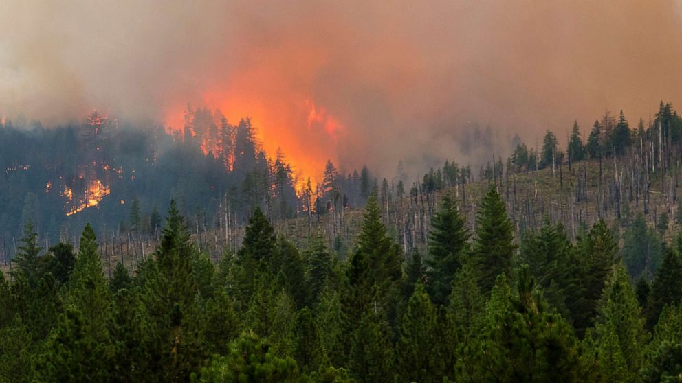 PHOTO: The Dixie fire in California, shown here on July 31, 2021, has grown to over 240,000 acres and is currently 30% contained.