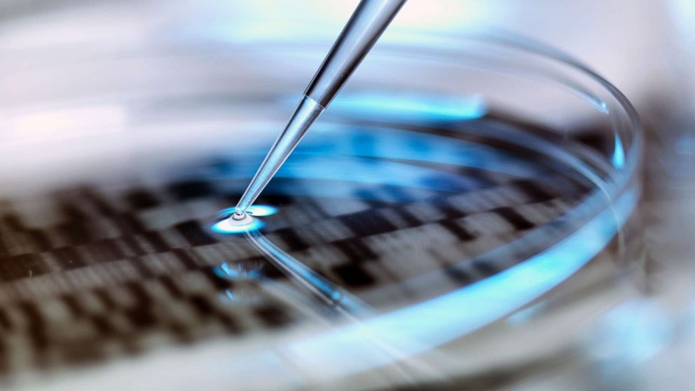 PHOTO: A stock photo depicts DNA testing in a petri dish.