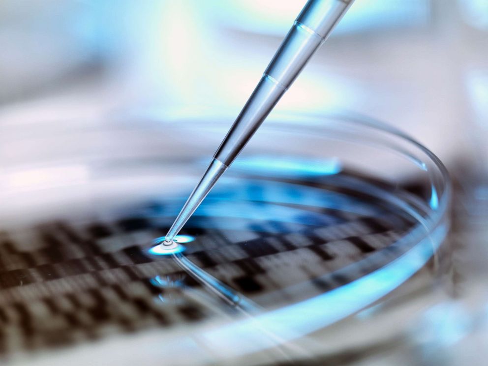 PHOTO: A stock photo depicts DNA testing in a petri dish.