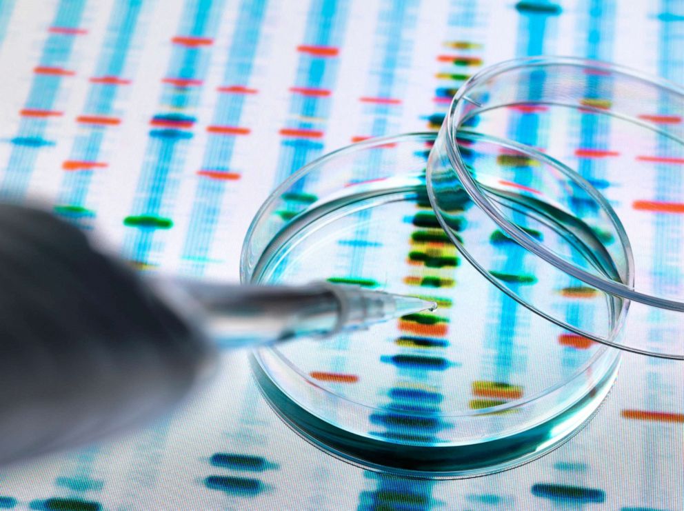 PHOTO: A petri dish is shown with a DNA sequencing image in the background.