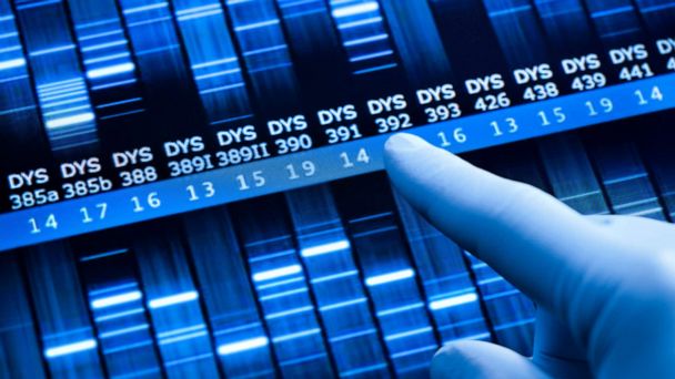 New Owner Of Genealogy Website Gedmatch Vows To Protect Users From Search Warrants Abc News
