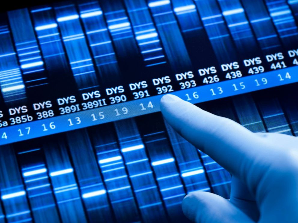 PHOTO: A person points to a DNA test sequence in an undated stock photo.