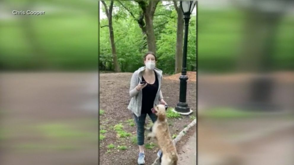 VIDEO: Central Park confrontation sparks outrage overnight