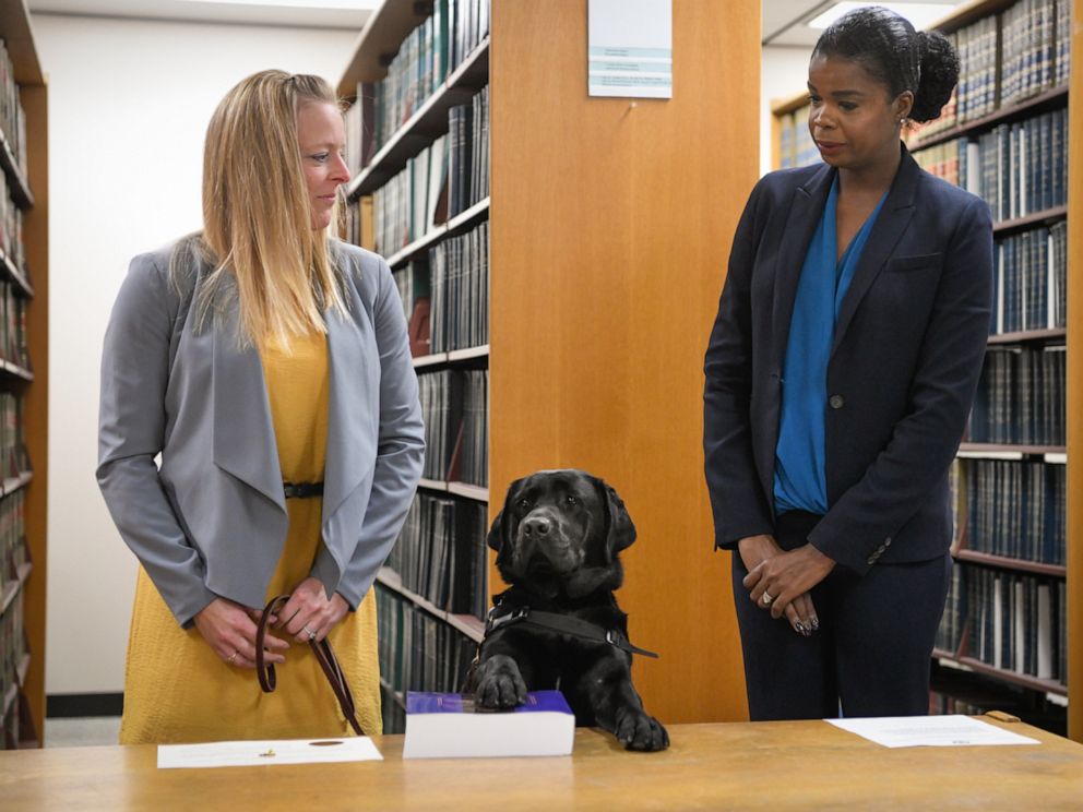 PHOTO: Hatty's primary handler and victim witness specialist Stephanie Coehlo, left, holds the black lab as Hatty is sworn in by Cook County State's Attorney Kimberly Foxx at the George N. Leighton Criminal Courthouse in Chicago, Oct. 29, 2019.