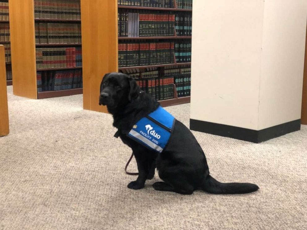 PHOTO: Hatty was sworn in by Cook County State's Attorney Kimberly Foxx at the George N. Leighton Criminal Courthouse in Chicago on Oct. 29, 2019.