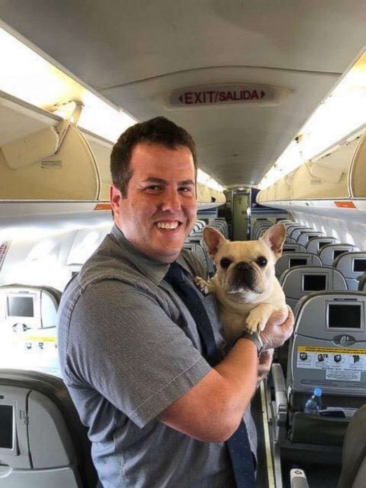 One of JetBlue's flight attendants poses with Darcy after the bulldog received oxygen on a JetBlue flight Thursday, July 5, 2018.