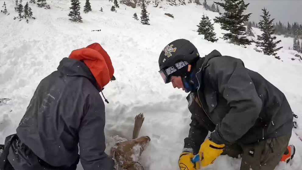 PHOTO: Two Colorado college students rescued a dog buried in an avalanche on Berthoud Pass in Colorado, Dec. 26, 2021, in this image made from helmet camera video.