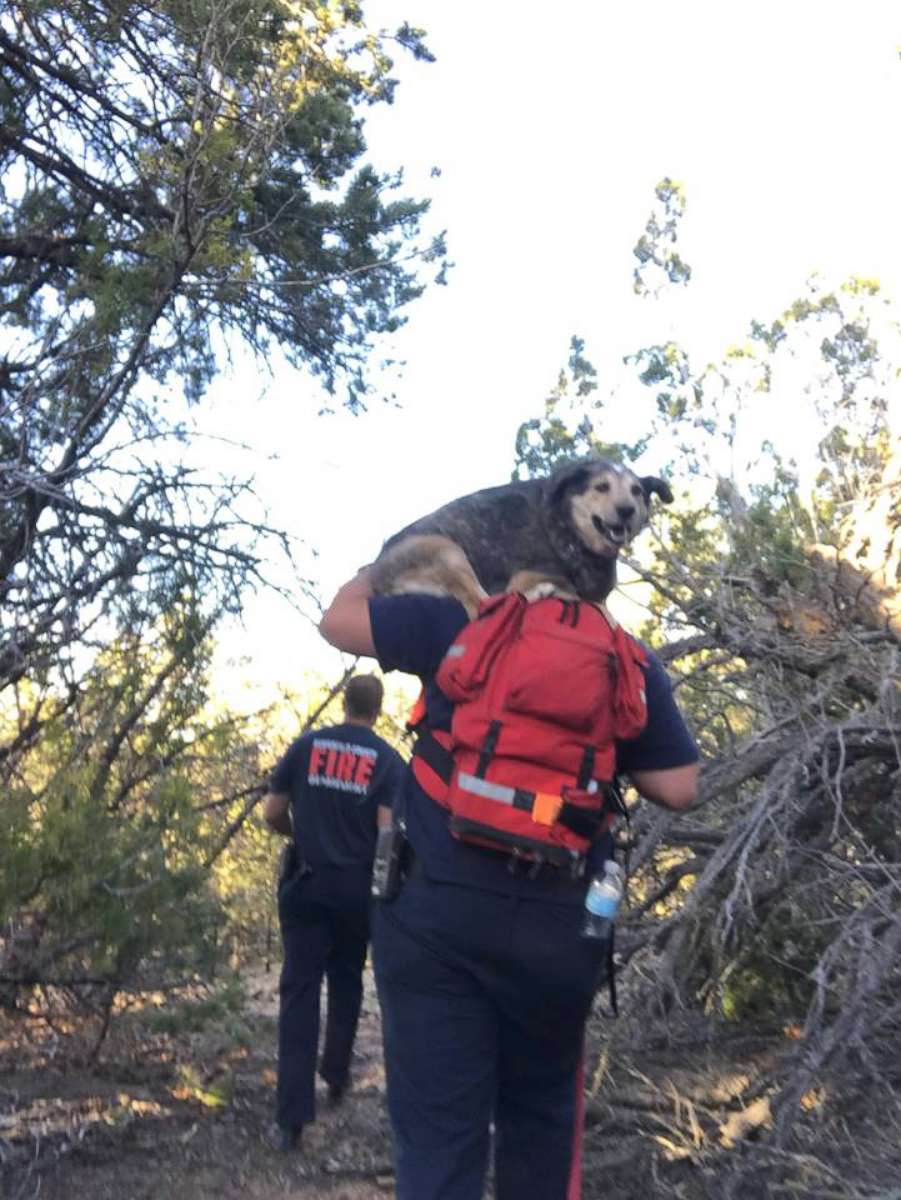 PHOTO: Firefighters use drone to rescue stranded hikers and an injured dog, May 12, 2018 at the Otero Canyon in New Mexico.
