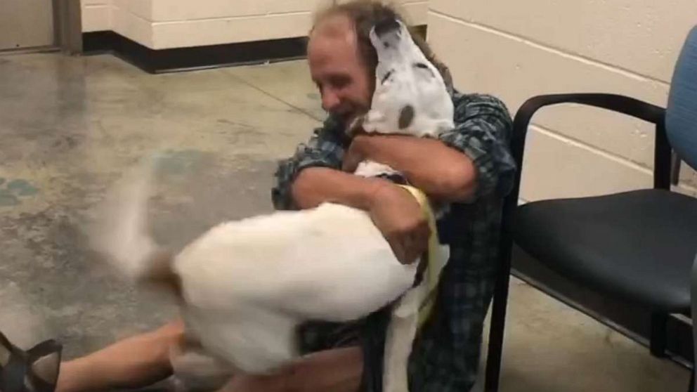 Homeless man reunites with lost dog