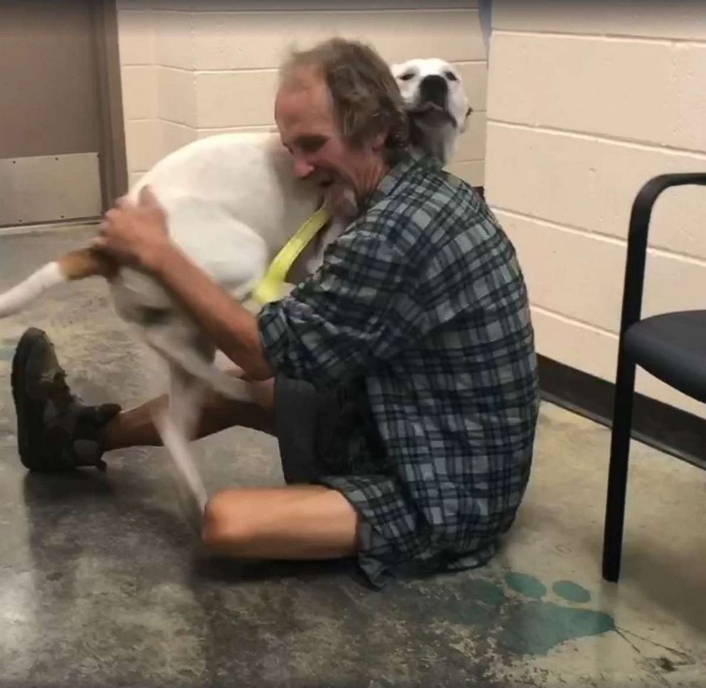 Homeless man reunites with dog in heartwarming video - ABC News