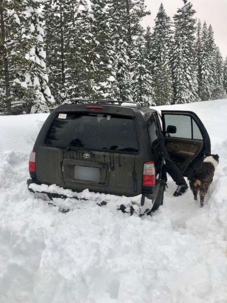 PHOTO: Jeremy Taylor and his dog, Allie, were stuck in the snow for five days near Wake Butte, Ore.