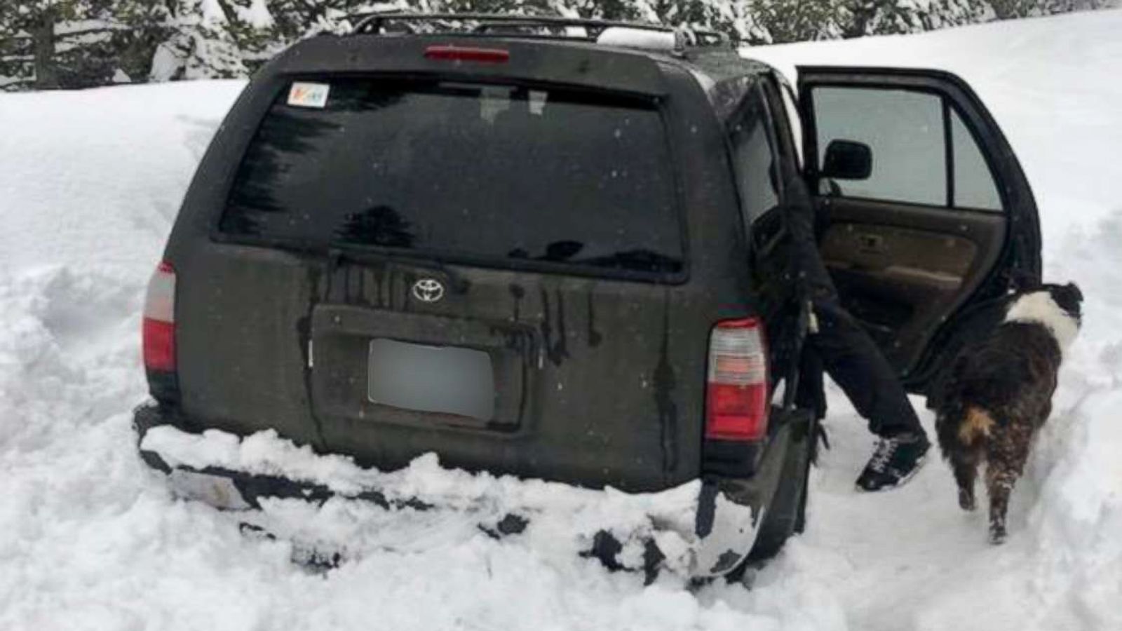 PHOTO: Jeremy Taylor and his dog, Allie, were stuck in the snow for five days near Wake Butte, Ore.